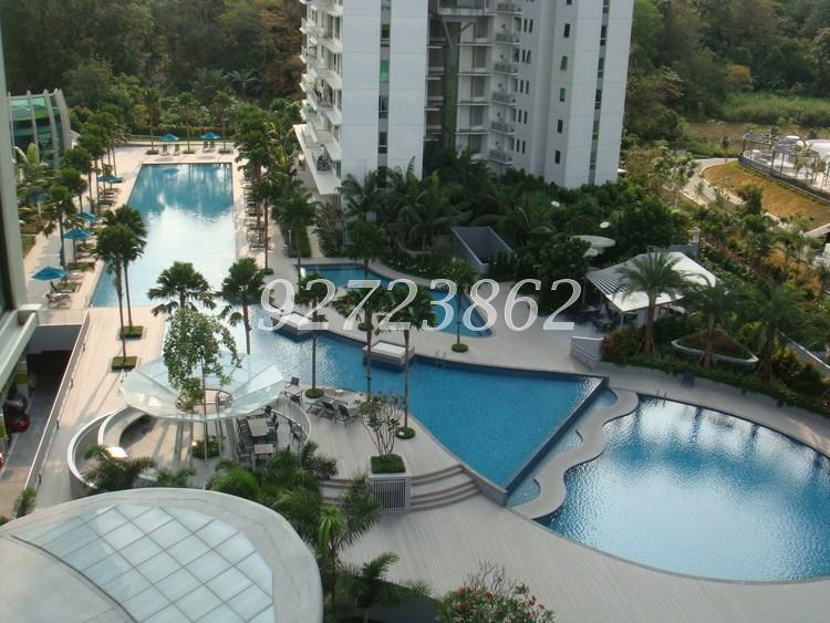 Tree House (D23), Condominium #158040992